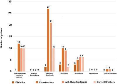 Lacunar Stroke Lesion Extent and Location and White Matter Hyperintensities Evolution 1 Year Post-lacunar Stroke